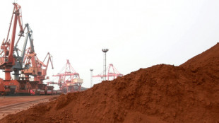 Terres rares: la Chine renforce ses contr&ocirc;les &agrave; l'exportation de technologies