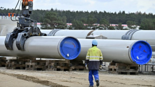 SPD-Parteitag lehnt Nordstream-Inbetriebnahme ab