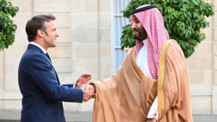 Saudiarabischer Kronprinz zu Gesprächen über Ukraine und Finanzgipfel in Paris