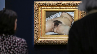 Arrojan pintura roja al cuadro "El origen del mundo" de Courbet en un museo de Francia