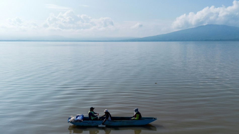 Au Mexique, indig&egrave;nes et scientifiques au chevet d'un fascinant amphibien