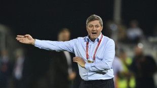 Serbia coach Stojkovic extends contract until 2026