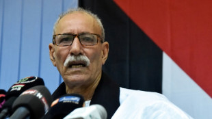 El Frente Polisario considera un "grave error" el cambio de posici&oacute;n espa&ntilde;ola sobre el S&aacute;hara Occidental