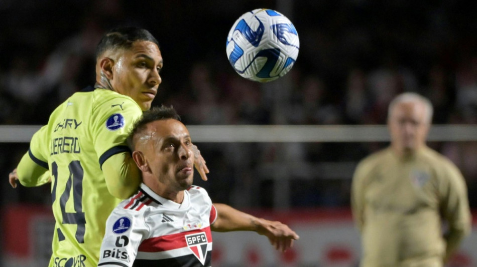 Ex-M&uuml;nchner Rafinha feiert Pokalsieg in Brasilien