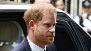 Prince Harry loses case against UK govt over security