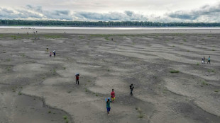 COP16: la conf&eacute;rence de l'ONU sur la d&eacute;sertification s'ouvre en Arabie saoudite 