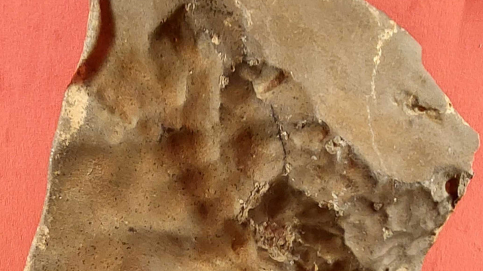 All'asta a NY pi&ugrave; grande meteorite marziano esistente in Terra