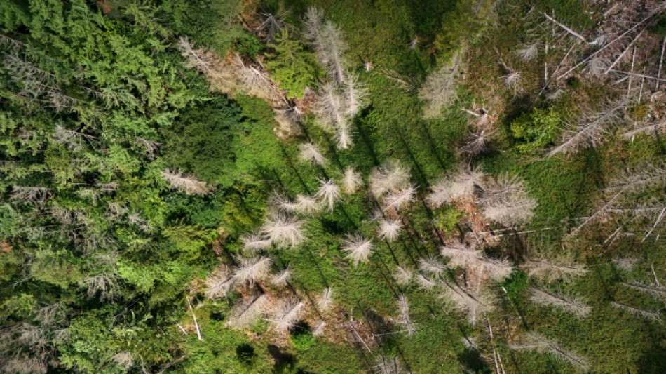 S&eacute;cheresse record pour un d&eacute;but ao&ucirc;t en Europe et sur le pourtour m&eacute;diterran&eacute;en