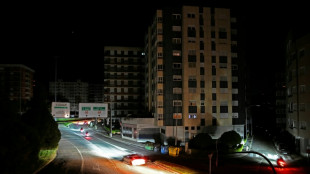 El apag&oacute;n de abril en Espa&ntilde;a y Portugal fue "el primero" por sobretensi&oacute;n en Europa