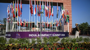 Muchos temores y alguna regla en perspectiva en la agenda de la cumbre sobre IA en India