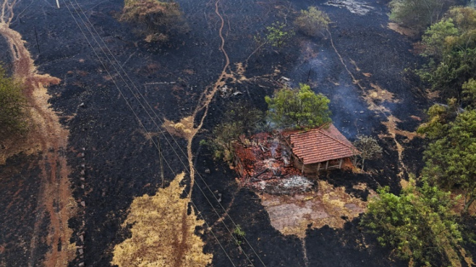 Inc&ecirc;ndios no estado de S&atilde;o Paulo foram apagados, diz Tarc&iacute;sio de Freitas