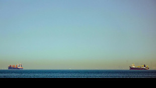 Prezzo petrolio ripiega, Wti scambiato a 94,39 dollari