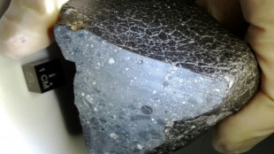 Scientists find oldest Martian meteorite's original home