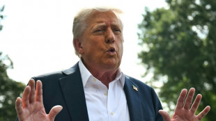Trump fordert Ende der Attacken auf US-Regierung wegen Epstein-Akten