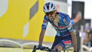 Tour de France: Valentin Paret-Peintre d&eacute;livre la France au Mont Ventoux
