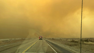 Texas towns evacuated as raging wildfires destroy homes