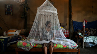 Peru vive o pior surto de dengue dos últimos tempos