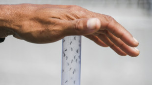 Brasil iniciará campaña de vacunación por aumento del dengue