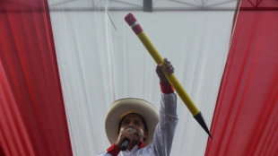 Perus Präsident Castillo nach Entmachtung durch Parlament festgenommen