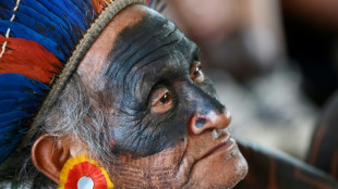 Brazil court rules for Indigenous land rights in key case