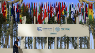 A la COP28, les dirigeants du monde viennent donner un élan aux négociations