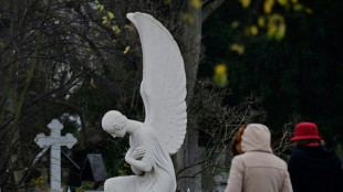 Unbekannte Diebe graben auf Friedhof in Bremerhaven Urne aus