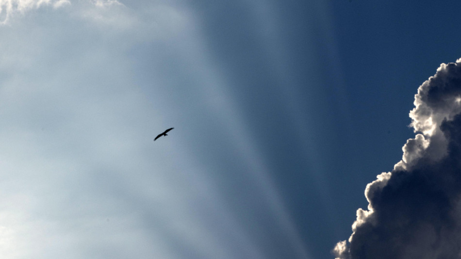Nella luce chiave per capire gli effetti della CO2 nell'atmosfera