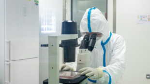 La Guayana Francesa, punto de detecci&oacute;n e investigaci&oacute;n de enfermedades emergentes