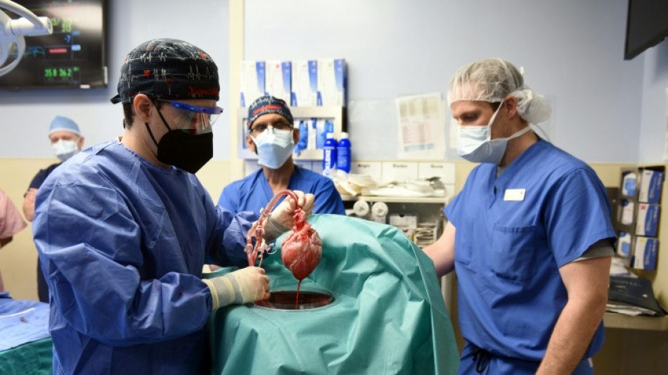 Le premier patient greffé avec un coeur de porc meurt deux mois après son opération