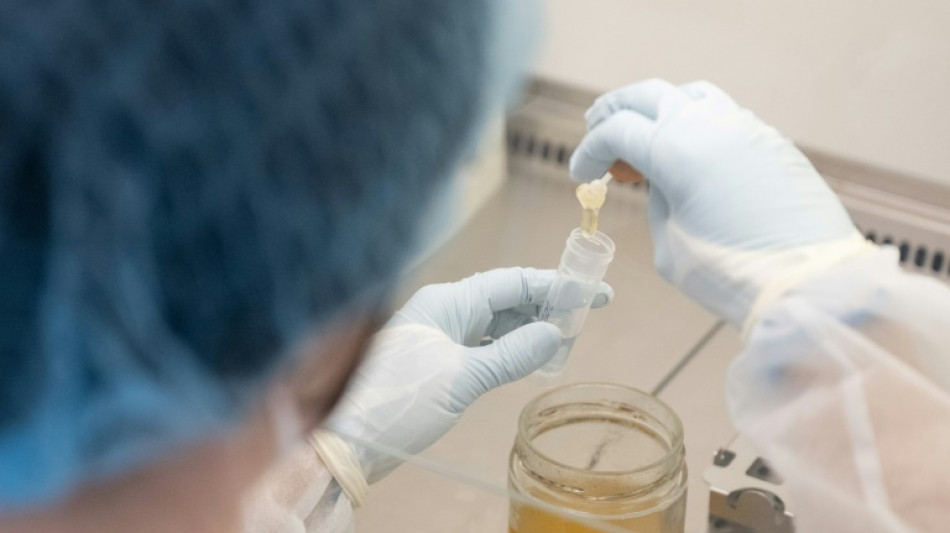 Austria trials DNA testing to uncover honey fraud