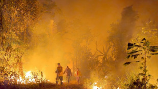 Copernicus detecta grandes niveles de emisiones a causa de los incendios en Sudamérica