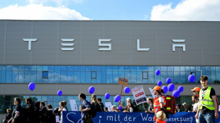 Plus d'un millier de manifestants écologistes contre l'usine Tesla près de Berlin