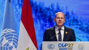 Scholz setzt Teilnahme an UN-Klimakonferenz in Scharm el-Scheich fort