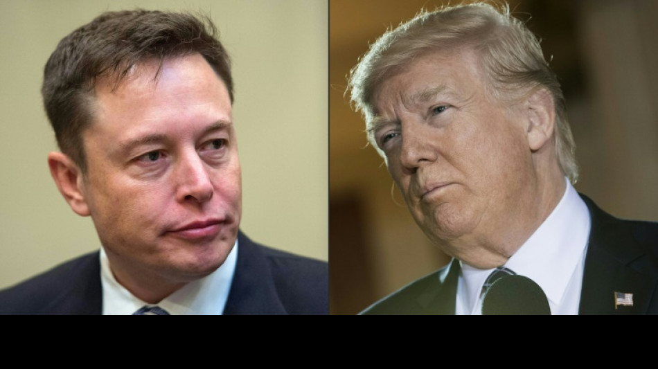 A Musk-owned Twitter opens door to potential Trump return