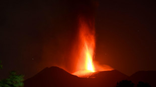 Etna, &egrave; online il database che racconta 2.500 anni di eruzioni