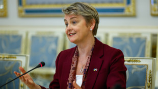 'Droni russi in cieli Nato', Gb convoca ambasciatore Mosca