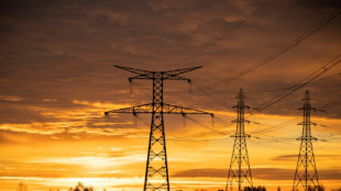 Energiewirtschaftsverband hält große Stromausfälle für 
