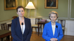Von der Leyen sente Frederiksen, 'risponderemo a minacce'
