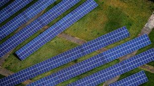 Sonniges Wetter führt zu neuem Solarstrom-Rekord im März