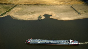 As Europe's rivers recede, shippers scramble to limit damage