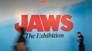 Something to get your teeth into: 'Jaws' exhibit marks 50 years
