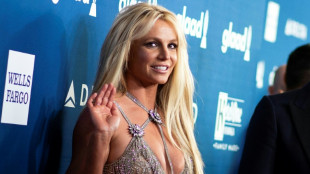 Britney Spears admits reckless driving in plea deal