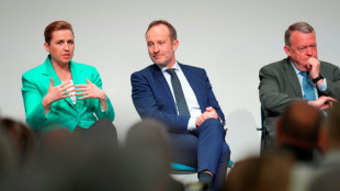 Dinamarca busca gobierno en un escenario fragmentado tras las elecciones