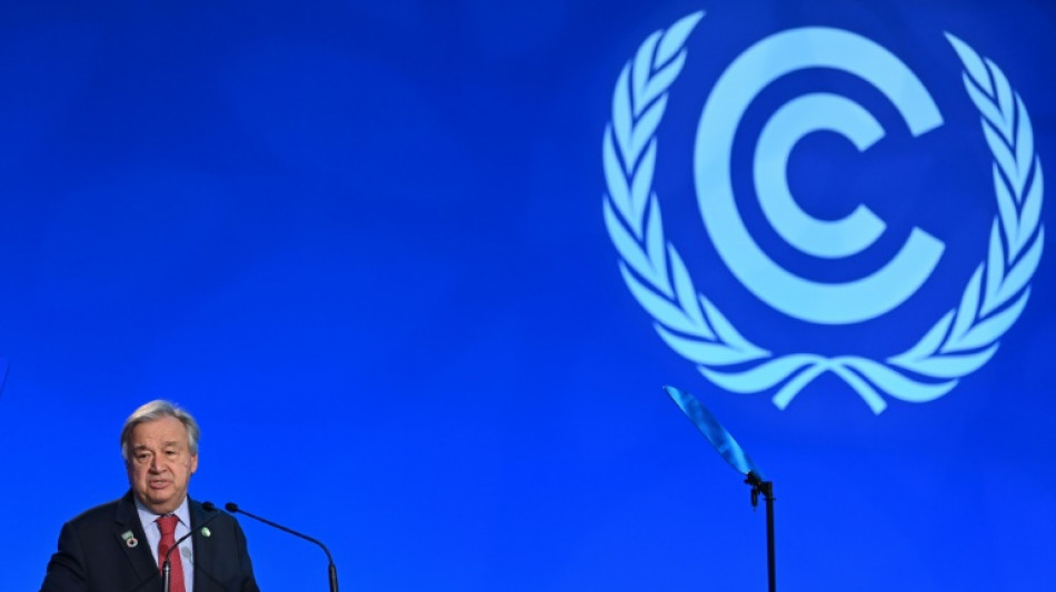 Climate-stricken world needs renewables Marshall Plan: UN chief
