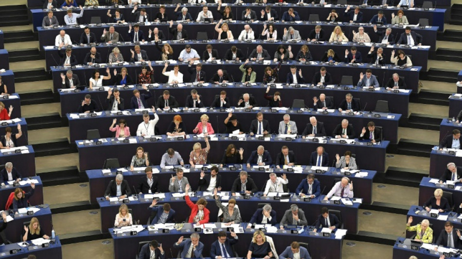 Eurodiputados buscan acelerar el uso de combustibles sostenibles en el sector a&eacute;reo