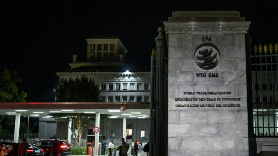 Des membres de l'OMC songent &agrave; faciliter le commerce des biens et services environnementaux