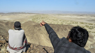 Le Pakistan et l'Iran conviennent d'une d&eacute;sescalade apr&egrave;s un &eacute;change de frappes
