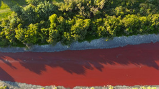 Las aguas de un arroyo de Buenos Aires bajan te&ntilde;idas de rojo