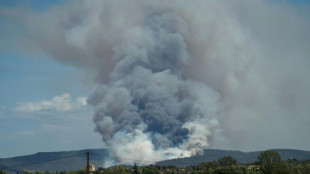 Un feu parcourt 450 hectares pr&egrave;s de Narbonne, habitants confin&eacute;s et A9 ferm&eacute;e