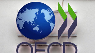 Ocse, tassi di occupazione e di attivit&agrave; a livelli record nel terzo trimestre